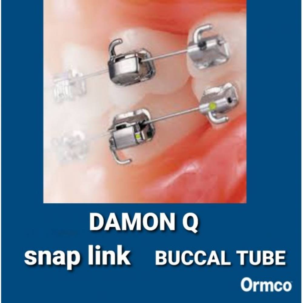 اسنپ لینک دیمون